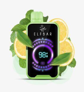 ELF BAR RAYA D2 20 000 Lemon Mint (Лимон м'ята) 1243 фото